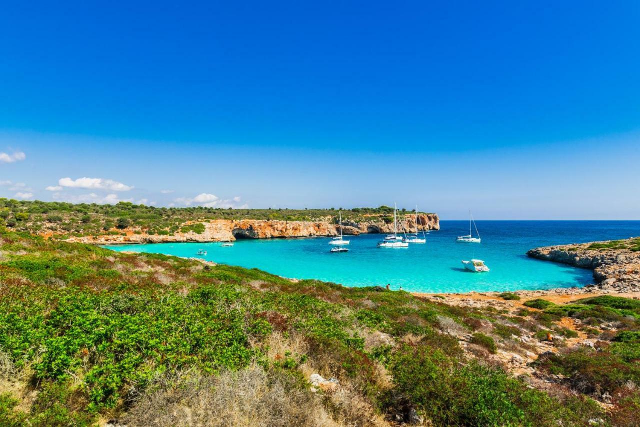 Big Villa Can Pedro In Palma De Mallorca Dış mekan fotoğraf